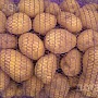 Продам ранний картофель, сорт Уладар, фасовка сетка от 20 кг. Цена договорная. А также имеется п