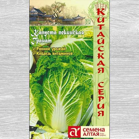 Семена пекинской капусты