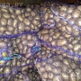 Уважаемые Минчане и гости столицы. Рад Вам предложить натуральные деревенские овощи без всяких