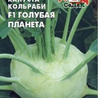 Семена капусты кольраби