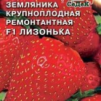 Земляника (клубника) Лизонька