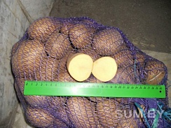 Домашний картофель и другие овощи с бесплатной доставкой по Минску