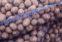 Продам картофель на корм животным, мешки примерно по 32 кг. , бесплатная доставка от 100 кг. По