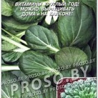 Семена китайской капусты