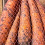 Картофель Бесплатная Доставка Подъем до вашей двери бесплатно Вкусная, жёлтая не первый год ра