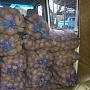 Продам домашний картофель. 35руб/сетка. Манифест, Янка, Скарб. Доставка ДО Подъезда Сорта: Ма