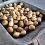 Картофель с доставкой в Минске
