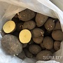 Картошка