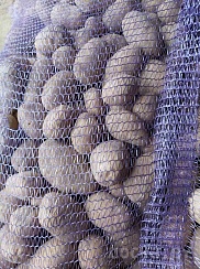 Самая вкусная картошечка от производителя из Беларуси. Сорт Вега (желтая внутри и снаружи). Ра