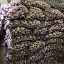 Картофель с доставкой Королева Анна ( желтый) продолговатый Отлично подходит для варки и жарки