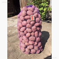 Картофель Бесплатная Доставка Подъем до вашей двери бесплатно Вкусная, жёлтая не первый год ра