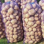 Продам домашний картофель отличного качества, экологически чистый, отобранный вручную, без болез