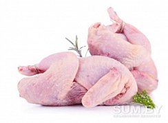 Индейка домашняя мясо