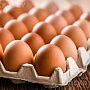 Продаю яица куриные, домашние, своё хозяйство, экологически чистый продукт, в неделю до двухсот