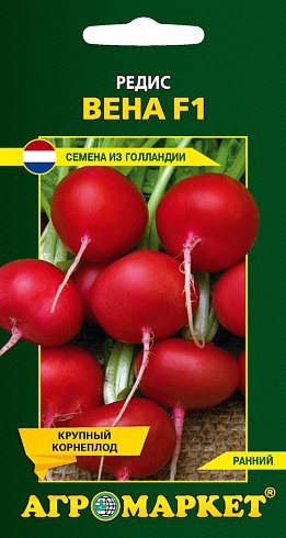 РЕДИС ВЕНА F1