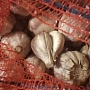 Продаётся чеснок, крепкий, хороший, перебран, вкусный.