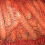 Картофель Бесплатная Доставка Подъем до вашей двери бесплатно Вкусная, жёлтая не первый год ра