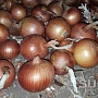 Домашний картофель с бесплатной доставкой в Минске