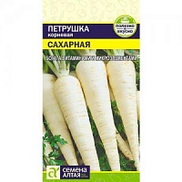 ПЕТРУШКА КОРНЕВАЯ САХАРНАЯ СЕМЕНА АЛТАЯ