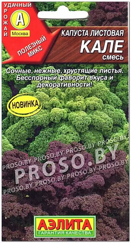 Семена листовой капусты