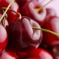 Вишня свежая опт