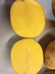 Картофель выращен в Брестской области. Имеет потрясающие вкусовые качества. Отлично хранится