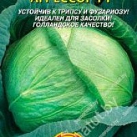 Семена белокочанной капусты