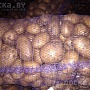 Уважаемые Минчане и гости столицы. Рад Вам предложить натуральные деревенские овощи без всяких
