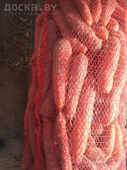 Продается морковь от производителя по цене 0, 70 бел. руб/кг без Ндс партиями до 2 тонн. Только