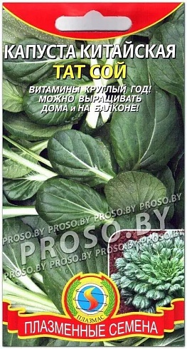 Семена китайской капусты