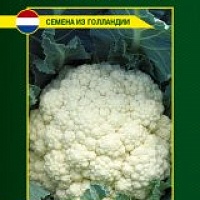 Семена капусты