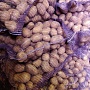 Картофель домашний, чистый. Качество отменное, т к выращивали для себя Продаём излишки Никаких