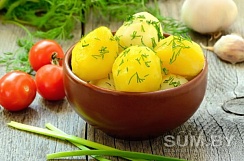 Картофель, картошка с доставкой на дом по Минску