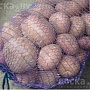 Продам ранний картофель выращенный на частном подворье. Сорт (Уладар). Великолепные вкусовые кач