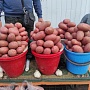 Привезу. подниму. и угощу сальцом). Фото реальные. Цена на сей продукт 0, 80руб. кг. Доставка по