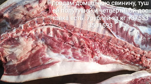 Свинина
