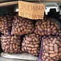 Картофель с доставкой Королева Анна ( желтый) продолговатый Отлично подходит для варки и жарки