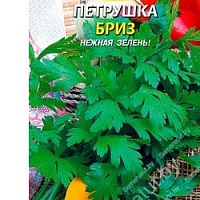 Петрушка листовая Бриз