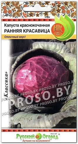 Семена краснокочанной капусты