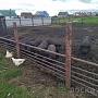 Продам вьетнамских поросят (папа и мама крупные вьетнамцы). Кушают уже сами. При покупке от 3 шт