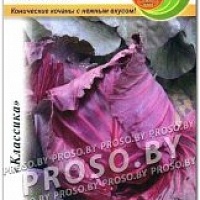 Семена краснокочанной капусты