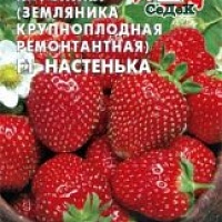 Земляника (клубника) Настенька