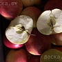 Продам картофель собственного производства. Сорт "Коломбо". Шкурка желтого цвета, в разрезе крем