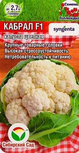 Семена капусты