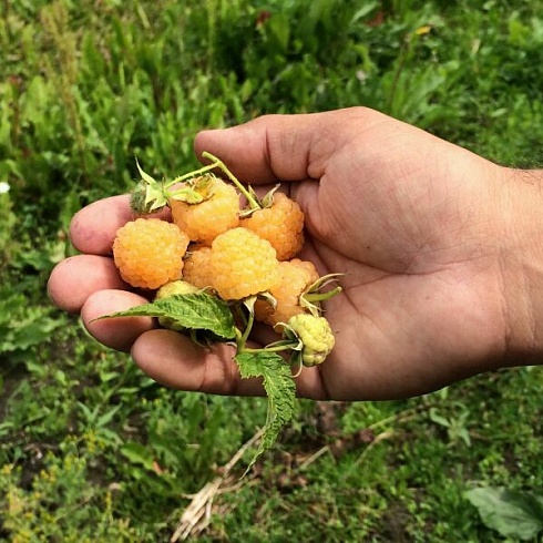 Использование арматуры в строительстве