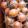 Картофель Бесплатная Доставка Подъем до вашей двери бесплатно Вкусная, жёлтая не первый год ра